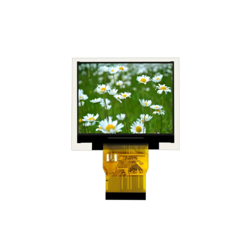 2.31 inch TFT LCD Display
